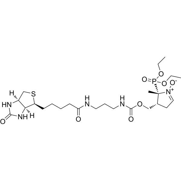 (2S,3R)-DEPMPO-Biotin