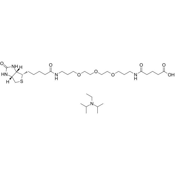 Biotinyl-NH-PEG3-C3-amido-C3-COOH (DIPEA) Chemical Structure