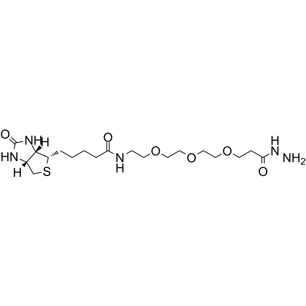 Biotin-PEG3-propionic hydrazide