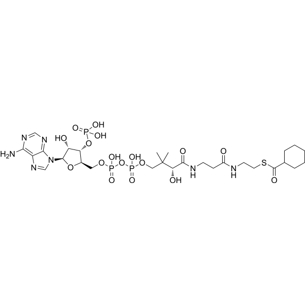 Cyclohexanoyl coenzyme A Chemical Structure