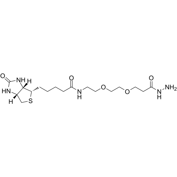 (+)-Biotin-PEG<em>2</em>-<em>hydrazide</em>