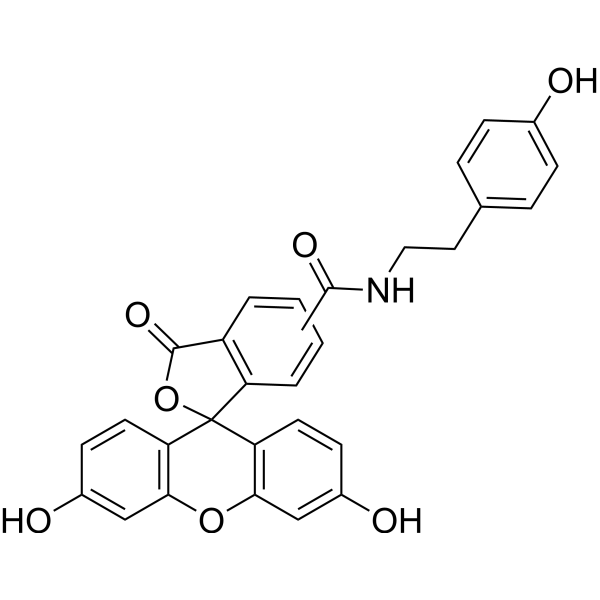 Fluorescein tyramide