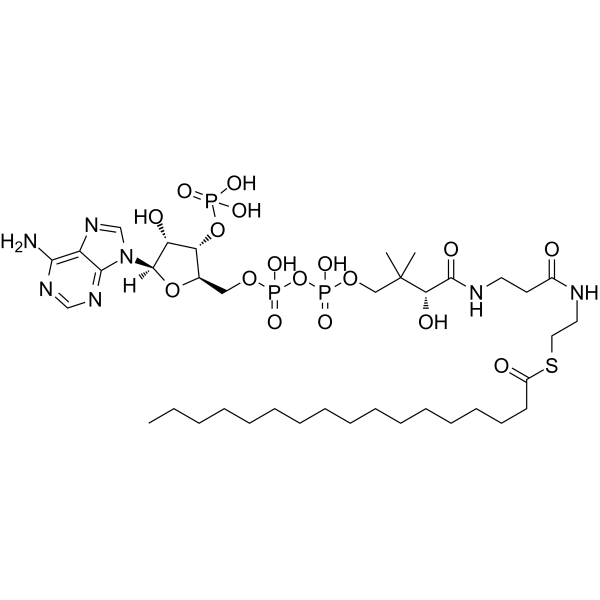 Heptadecanoyl Coenzyme A Chemical Structure