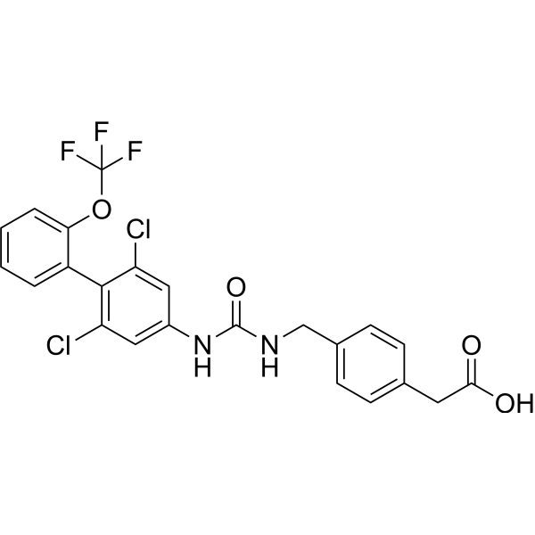 RORγt inverse agonist 13 Chemical Structure