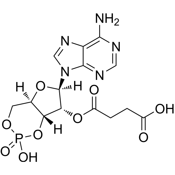 2'-O-Succinyl-cAMP Chemical Structure