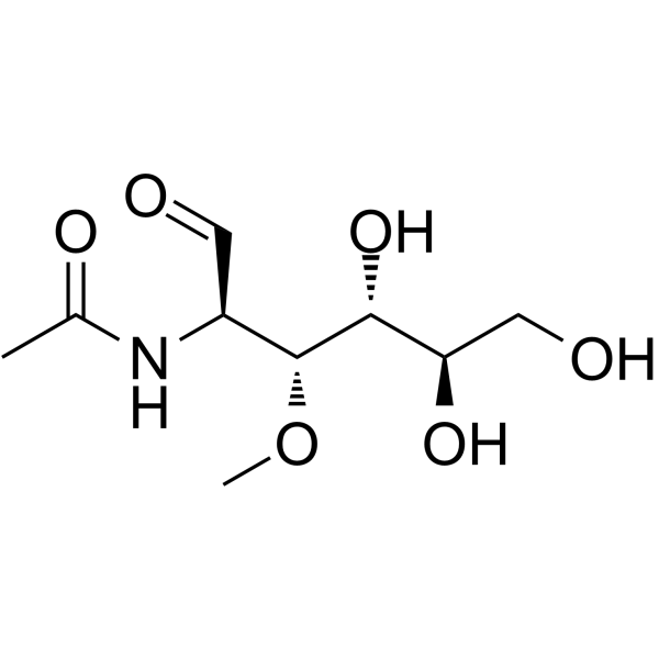 3-O-Methyl-N-acetyl-D-glucosamine