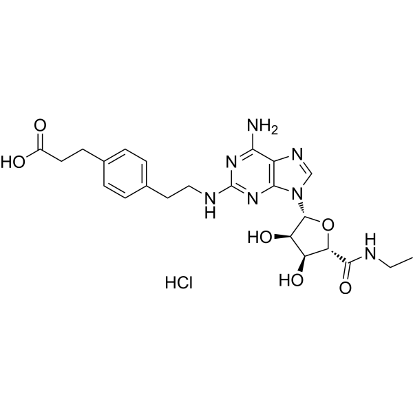 CGS 21680 Hydrochloride Chemical Structure