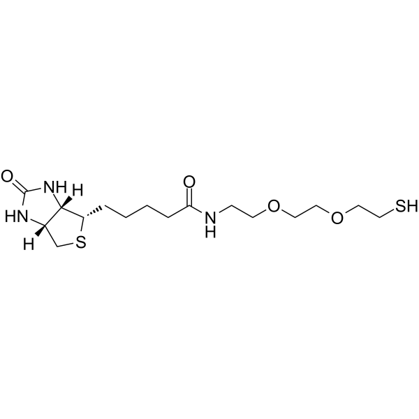 Biotin-PEG2-SH Chemical Structure