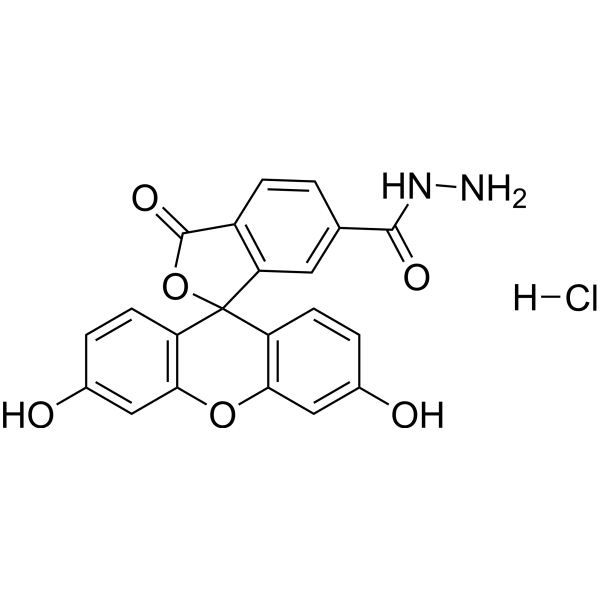 FAM hydrazide, 6-isomer hydrochloride Chemical Structure