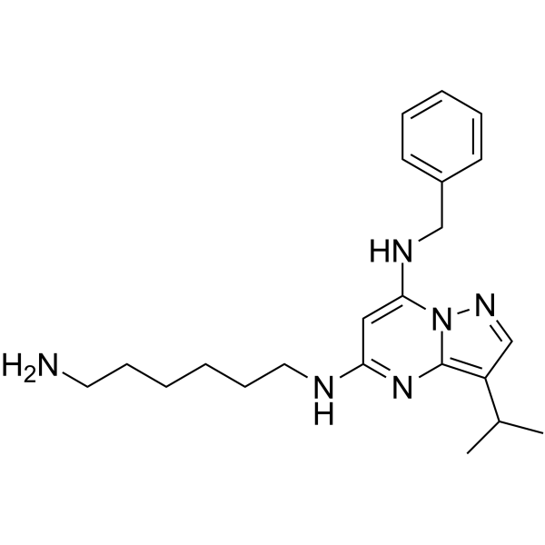 BS-181 Chemical Structure