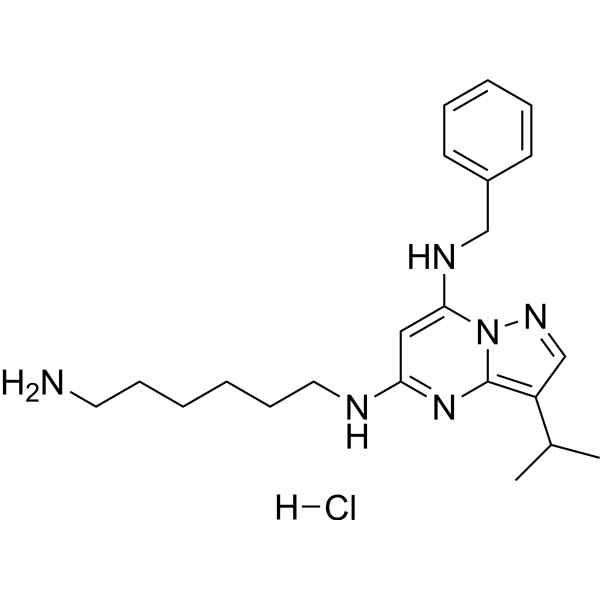 BS-181 hydrochloride Chemical Structure