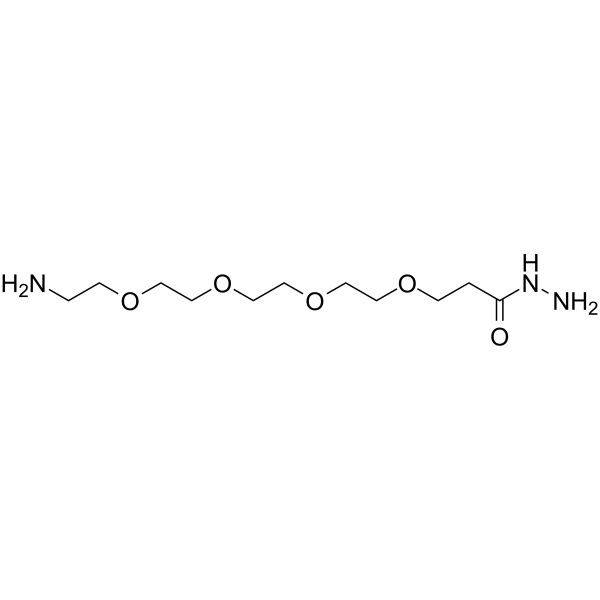 H2N-PEG4-Hydrazide Chemical Structure