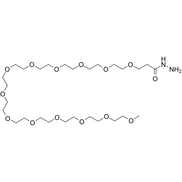 m-PEG13-Hydrazide Chemical Structure
