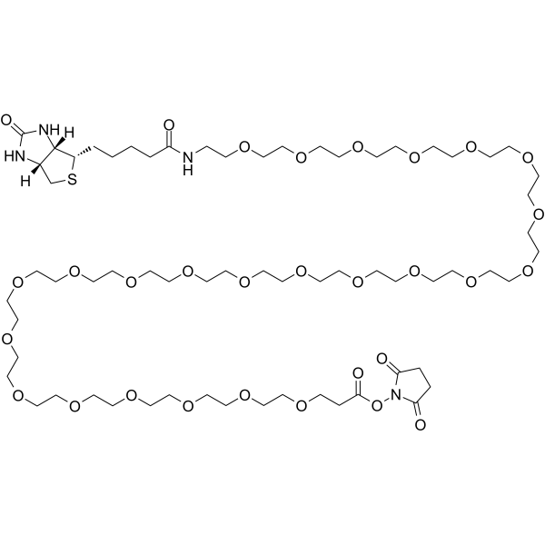 Biotin-PEG24-NHS ester Chemical Structure