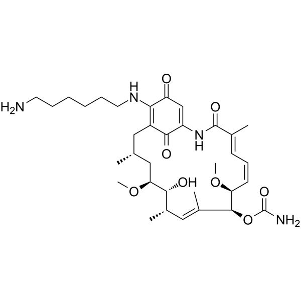 Aminohexylgeldanamycin