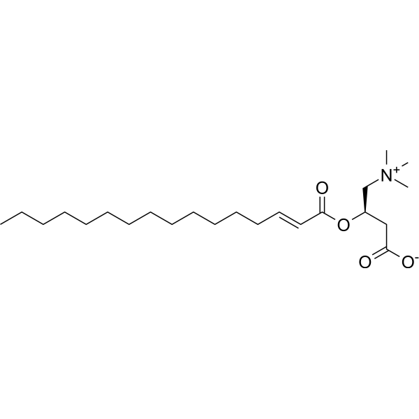 trans-2-Hexadecenoyl-L-carnitine Chemical Structure