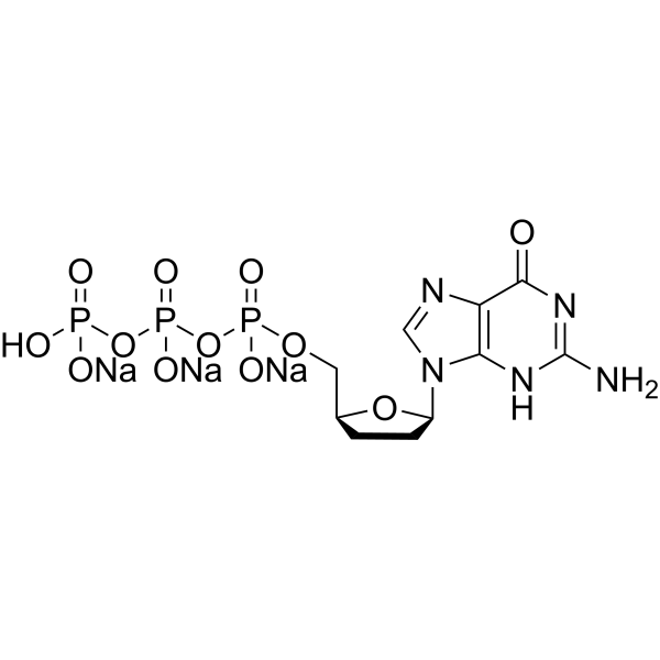 dideoxynucleotide