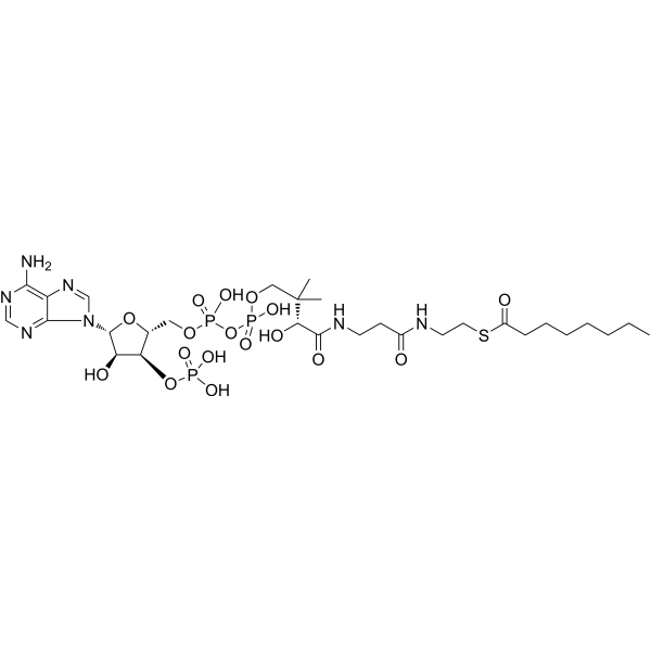 Octanoyl Coenzyme A Chemical Structure