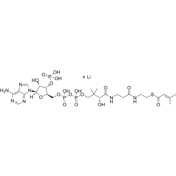 β-Methylcrotonyl coenzyme A <em>lithium</em>