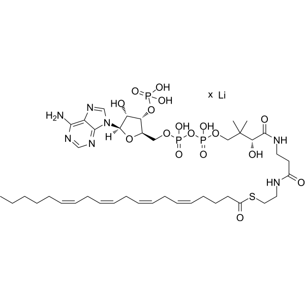 Arachidonoyl coenzyme A lithium