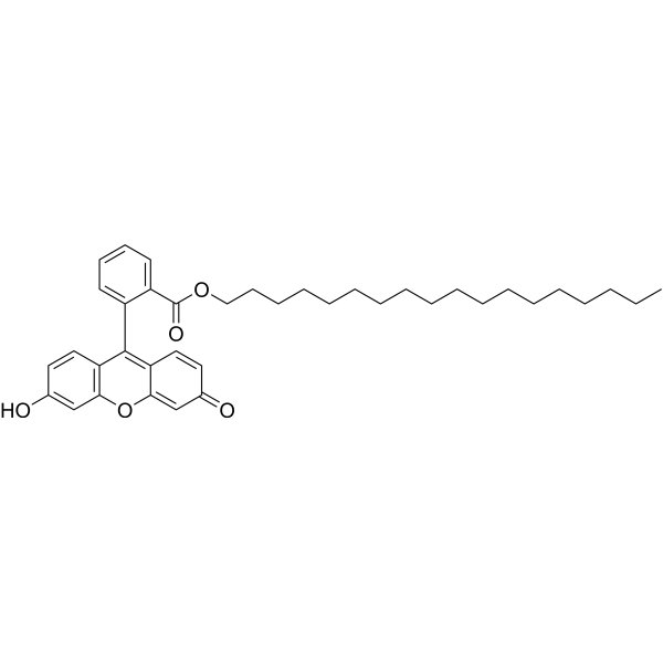 <em>Fluorescein</em> <em>octadecyl</em> ester