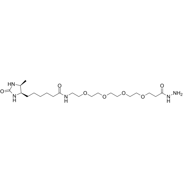 Hydrazide-PEG4-Desthiobiotin Chemical Structure