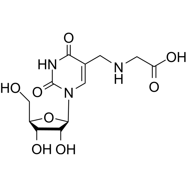 5-Carboxymethylaminomethyluridine