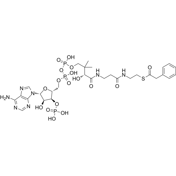 Phenylacetyl CoA Chemical Structure