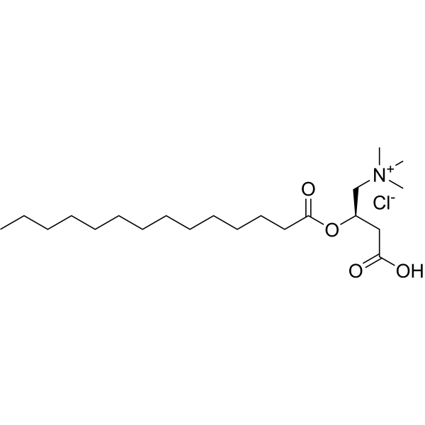 Myristoyl-L-<em>carnitine</em> chloride