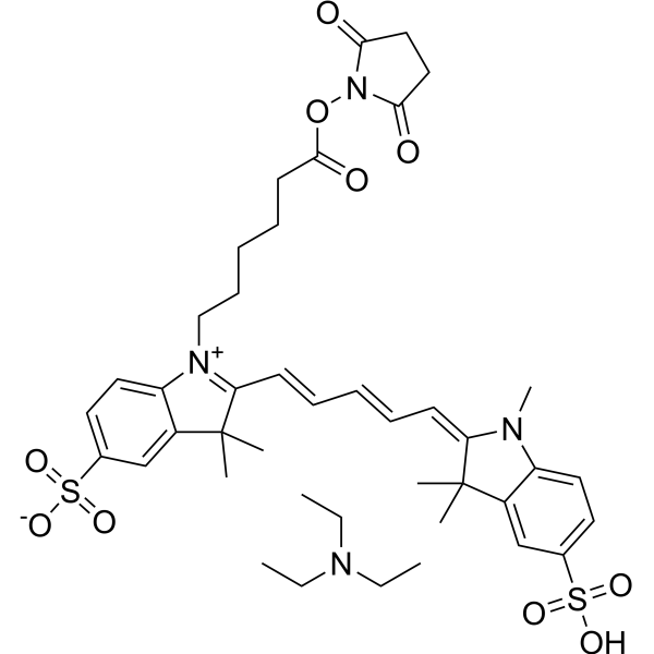 MeCY5-NHS ester triethylamine Chemical Structure