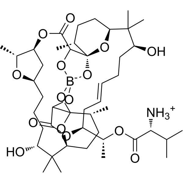Boromycin Chemical Structure