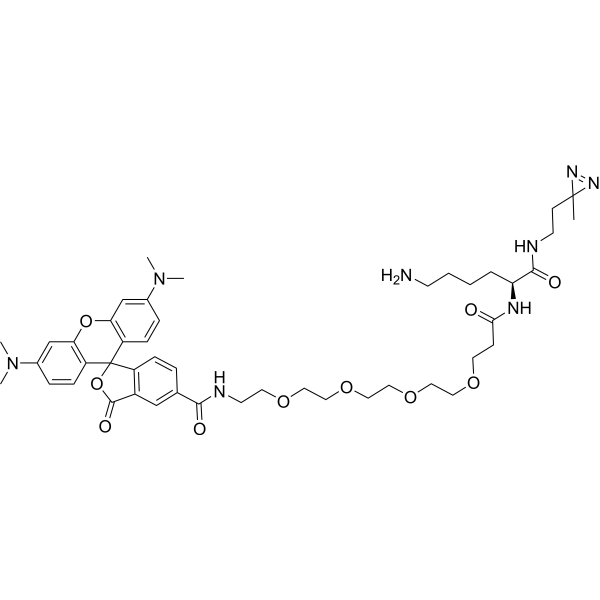 TAMRA-probe 1 Chemical Structure