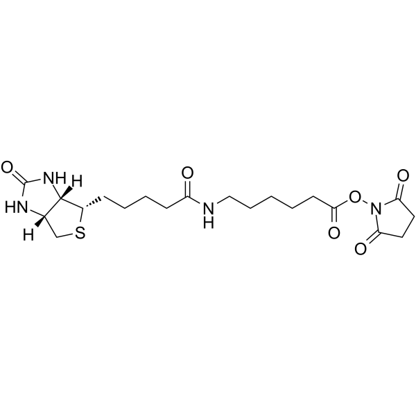 Biotin-C5-NHS Ester Chemical Structure