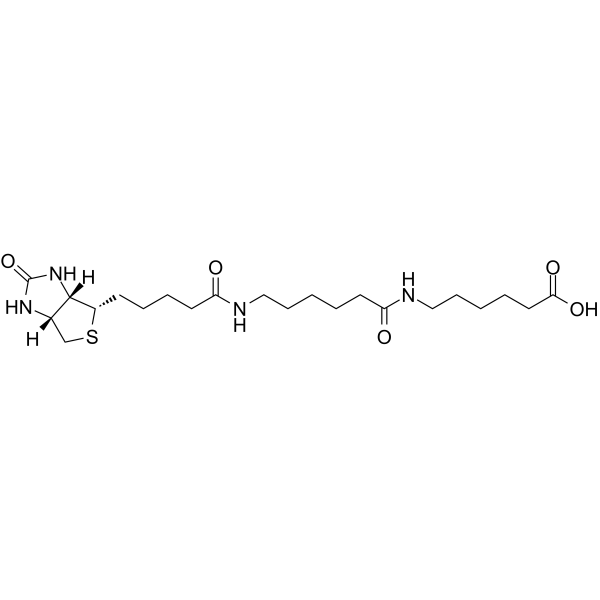Biotin-C5-amino-C5-amino