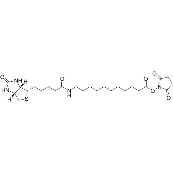 Biotin-C10-NHS Ester Chemical Structure
