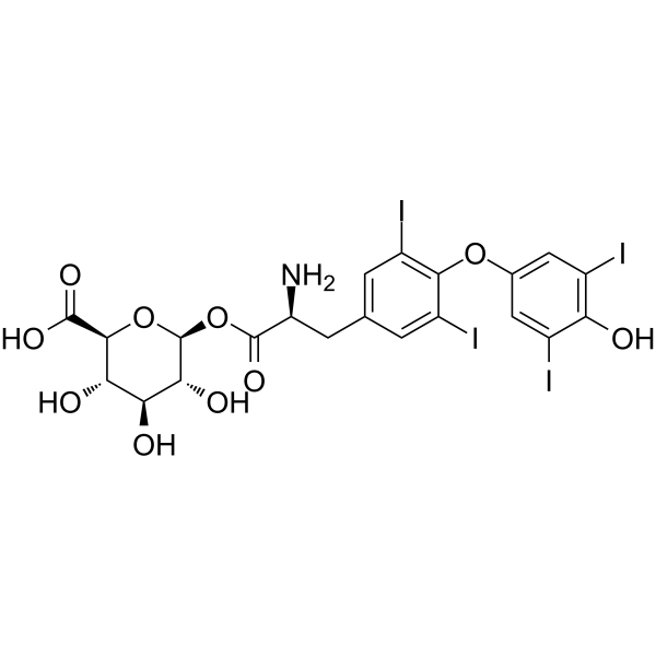 Levothyroxine acyl glucuronide Chemical Structure