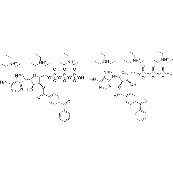 BzATP triethylammonium salt Chemical Structure