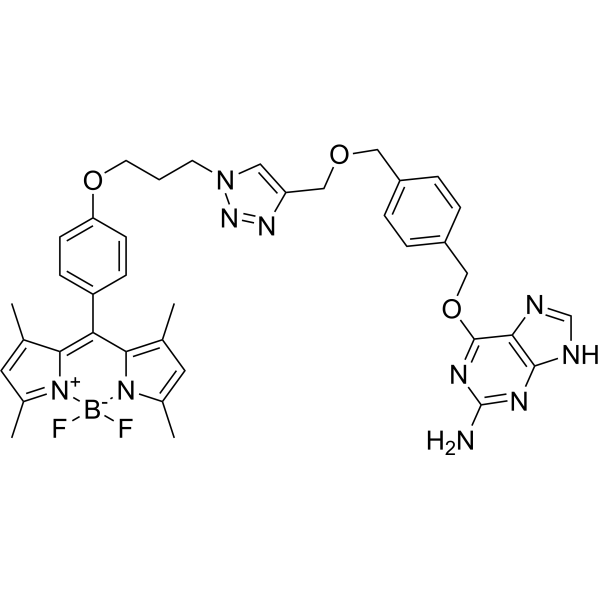 PYBG-BODIPY Chemical Structure