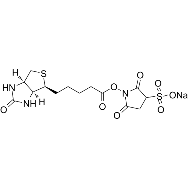 Sulfo-NHS-Biotin sodium