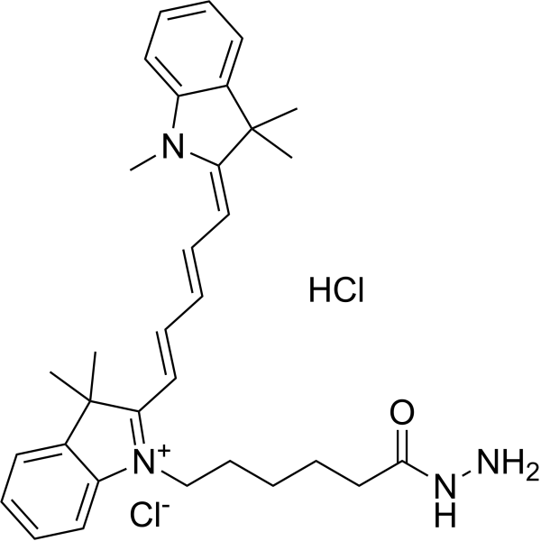 Cy 5 hydrazide Chemical Structure