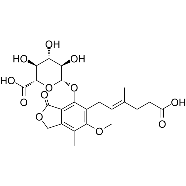 Mycophenolic acid <em>glucuronide</em>