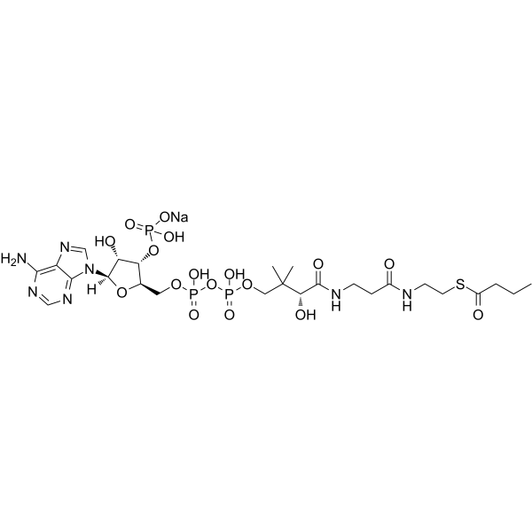 Butyryl-Coenzyme A sodium Chemical Structure