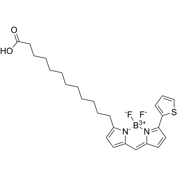 BODIPY 558/568 C12 Chemical Structure