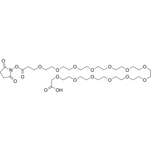 NHS ester-PEG13-COOH Chemical Structure