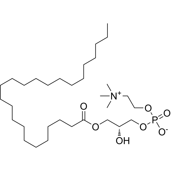 24:0 Lyso PC Chemical Structure