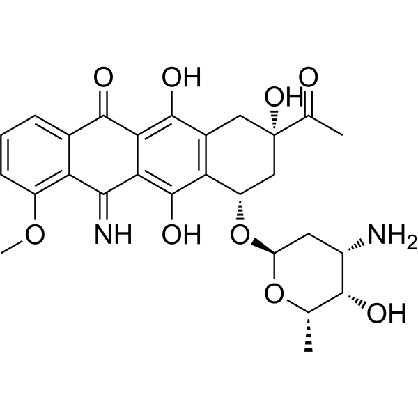 <em>5</em>-Iminodaunorubicin