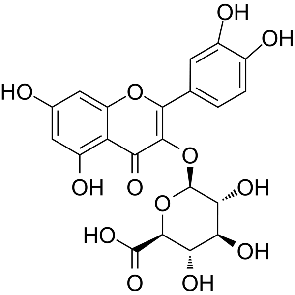 Miquelianin Chemical Structure