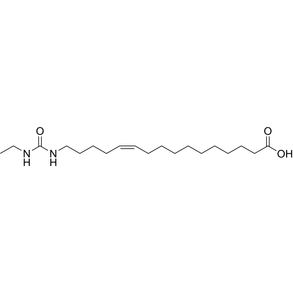 (Z)-16-(Ethylcarbamoylamino)hexadec-11-enoic acid