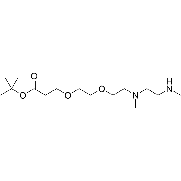 N,N'-DME-N-PEG2-Boc Chemical Structure