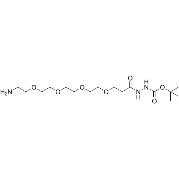 Amino-PEG4-hydrazide-Boc Chemical Structure